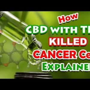 How CBD with THC Killed Cancer Cells Explained – CBDOilStudy.org/Free-Samples