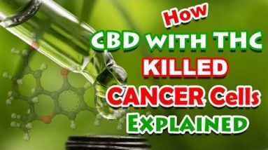 How CBD with THC Killed Cancer Cells Explained – CBDOilStudy.org/Free-Samples