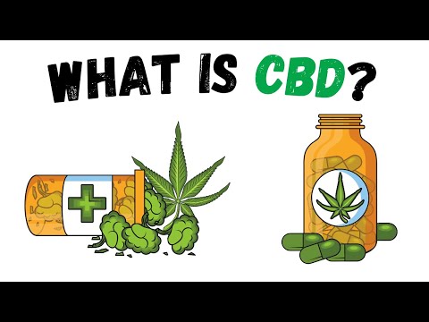 What Is CBD? | CBD Explained | Best CBD 2021