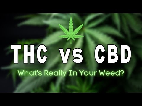 What is the difference between THC and CBD?