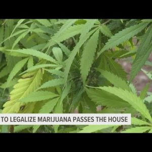 House passes marijuana legalization legislation