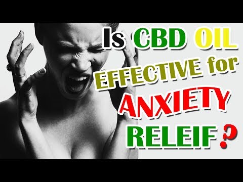 Is CBD Oil Effective for Anxiety Relief? – CBDOilStudy.org/Free-Samples