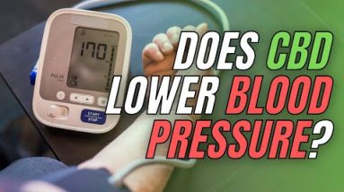Does CBD Lower Blood Pressure?