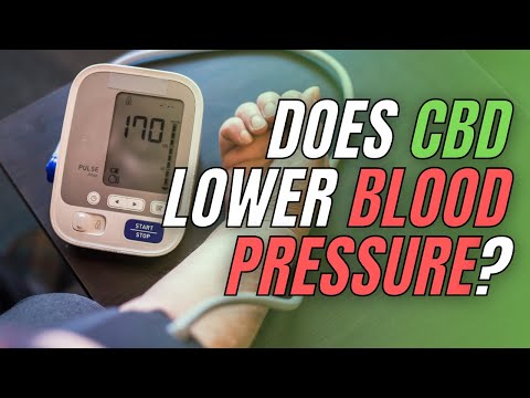 Does CBD Lower Blood Pressure?