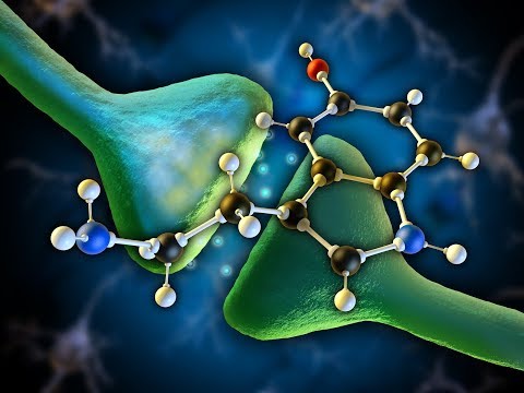 CBD REGULATES SEROTONIN LEVELS & SIGNALLING