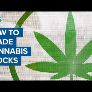 Analyst: Which cannabis stocks are most susceptible to a short-squeeze