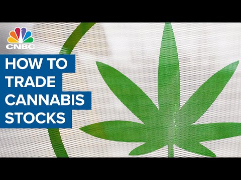 Analyst: Which cannabis stocks are most susceptible to a short-squeeze