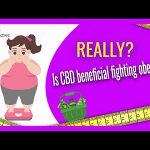 CBD oil for weight loss where to buy