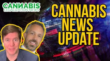 New Illinois Dispensary Laws and Federal Payroll Tax Credits For Cannabis Businesses. More News