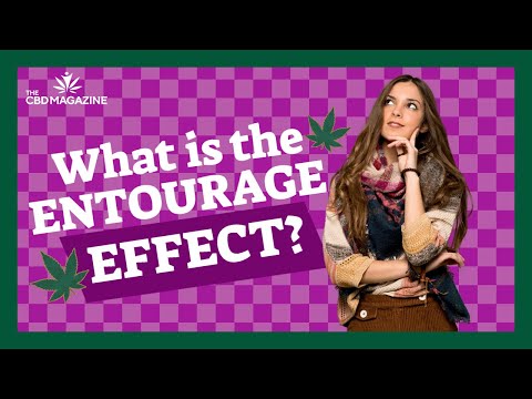What is the CBD entourage effect? A closer look at cannabidiol science