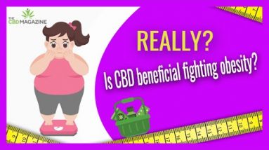Can CBD oil help you lose weight? Exploring the benefits of CBD for weight loss