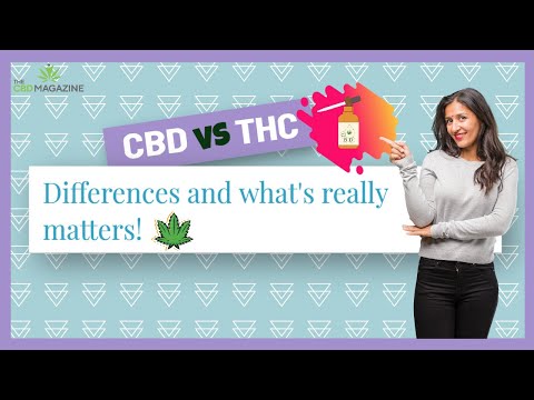 THC vs CBD: A closer look at their differences
