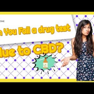 Staying safe while taking CBD- Does CBD show up on drug tests?