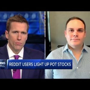 Navy Capital CEO on Reddit investor interest in the cannabis stocks