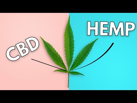 Are Hemp And CBD The Same?