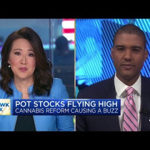 Cannabis stocks rally as U.S. lawmakers mull federal legislation