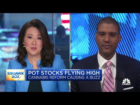 Cannabis stocks rally as U.S. lawmakers mull federal legislation