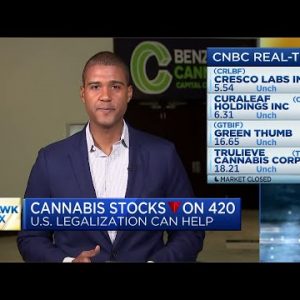 Cannabis stocks remain under pressure despite federal legalization efforts