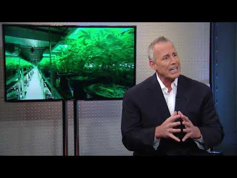 Acreage Holdings CEO: Cannabis Industry ‘Warchest’ | Mad Money | CNBC