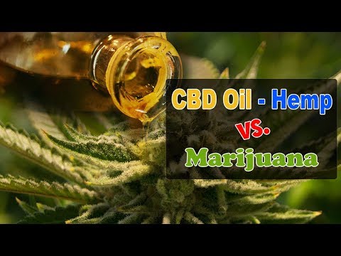 People are Veering to CBD Oil Alternative – CBDOilStudy.org/Free-Samples