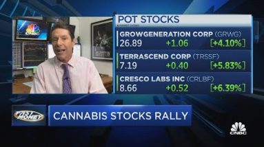 New legislation protects banks in stocks that are legal to grow cannabis