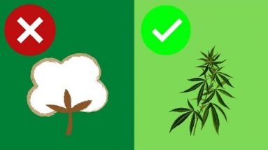 Why is Hemp better than Cotton?