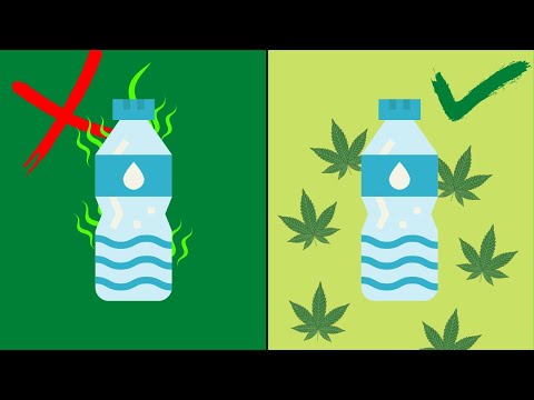 Can Hemp replace plastic?