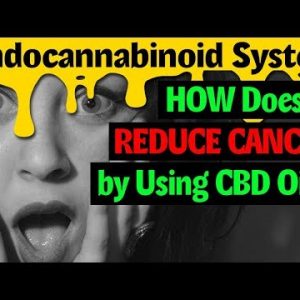 How does the Endocannabinoid System reduce cancer using Added CBD Oil? – medoil.biz/Free-biz-op-Training