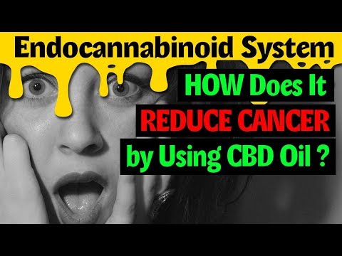 How does the Endocannabinoid System reduce cancer using Added CBD Oil? – medoil.biz/Free-biz-op-Training