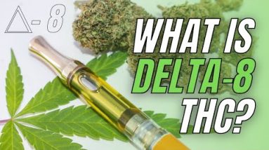 What Is Delta 8 THC?