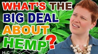 What is the Big Deal about Hemp? – CBDOilStudy.org/Free-Samples