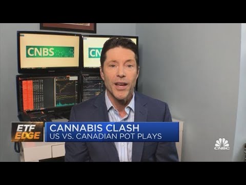 U.S. vs. Canadian cannabis stock: Key distinctions