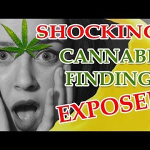 Shocking! Cannabis Findings Exposed by Dr Sanjay Gupta! – CBDOilStudy.org/Free-Samples