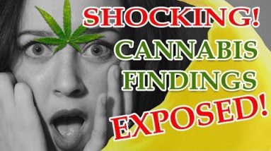 Shocking! Cannabis Findings Exposed by Dr Sanjay Gupta! – CBDOilStudy.org/Free-Samples