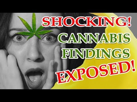 Shocking! Cannabis Findings Exposed by Dr Sanjay Gupta! – CBDOilStudy.org/Free-Samples