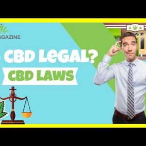 Is CBD Legal? All About the Latest CBD Laws Across the World