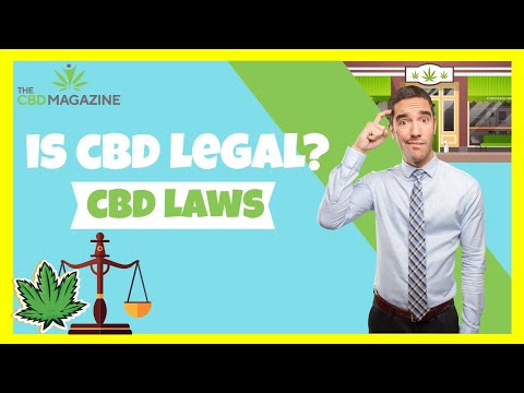 Is CBD Legal? All About the Latest CBD Laws Across the World