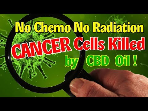 No Chemo, No Radiation – See HOW Cancer Cells Killed By Using CBD Oil – CBDOilStudy.org/Free-Samples