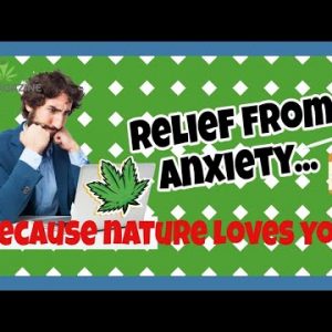 What CBD oil to buy for sleep and anxiety