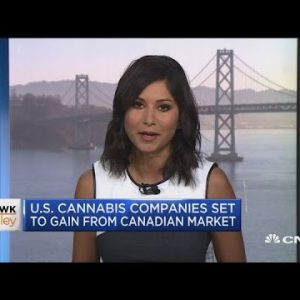 US cannabis corporations keep aside to gain from Canadian market