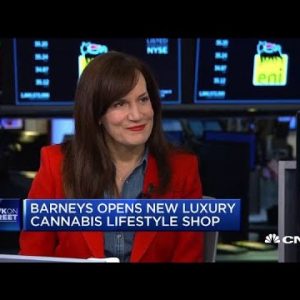 Barneys Recent York CEO Daniella Vitale on cannabis paraphernalia