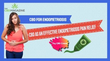 CBD Cream For Endometriosis  | How Does CBD Assist in Endometriosis Danger Relief?