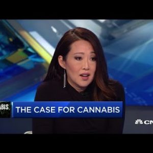 Why now is the appropriate time to get into the cannabis commerce