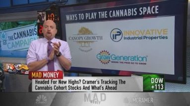 Jim Cramer on the most intriguing marijuana performs on a Democratic sweep