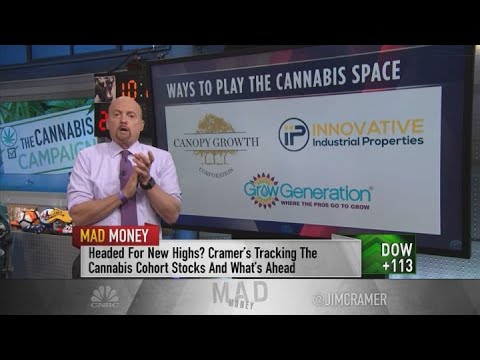 Jim Cramer on the most intriguing marijuana performs on a Democratic sweep