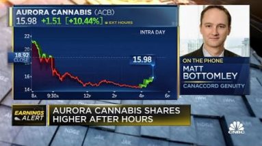 There is ‘exuberance’ in markets, driving hashish stock elevated: Canaccord Genuity analyst