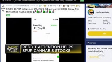 Reddit attention helps spur cannabis stocks