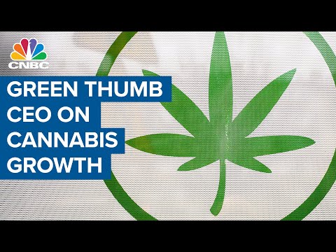 Inexperienced Thumb CEO on cannabis growth: Particular person search data from is excessive