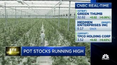 Pot shares working excessive—Here’s how or no longer it’s affecting these ETFs