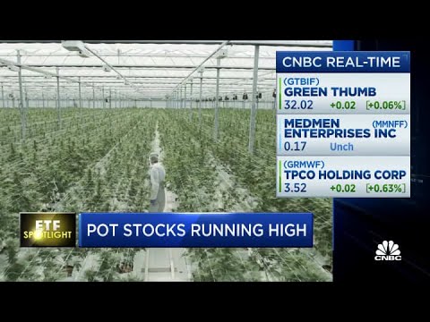 Pot shares working excessive—Here’s how or no longer it’s affecting these ETFs